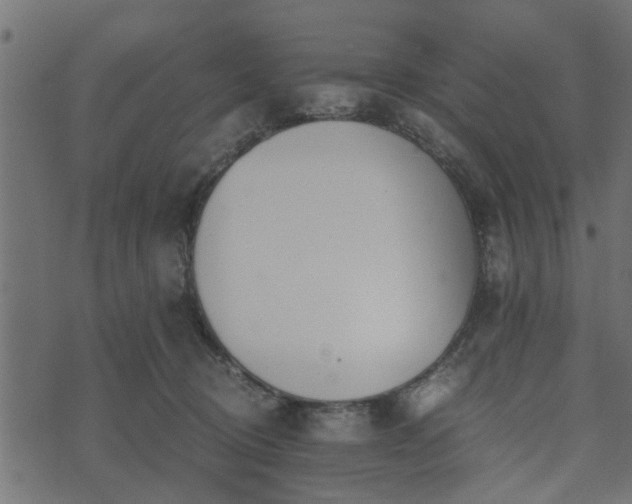 X0000073900370200608181005