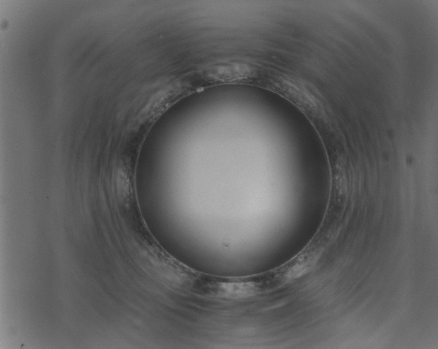 X0000073900371200608181005