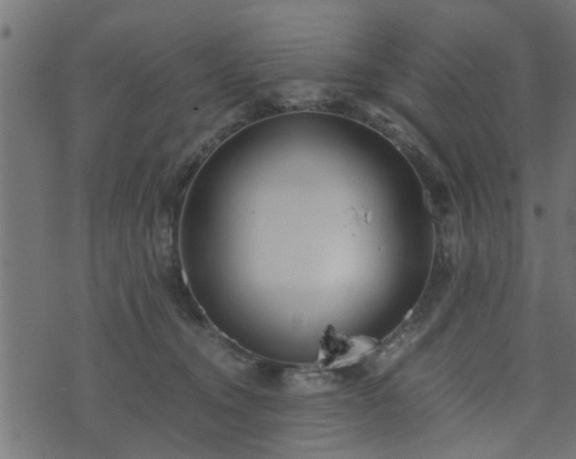 X0000073900372200608181005