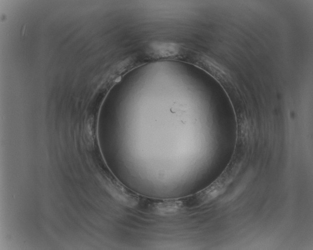 X0000073900373200608181005