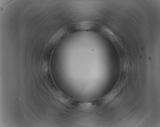 X0000073900374200608181005