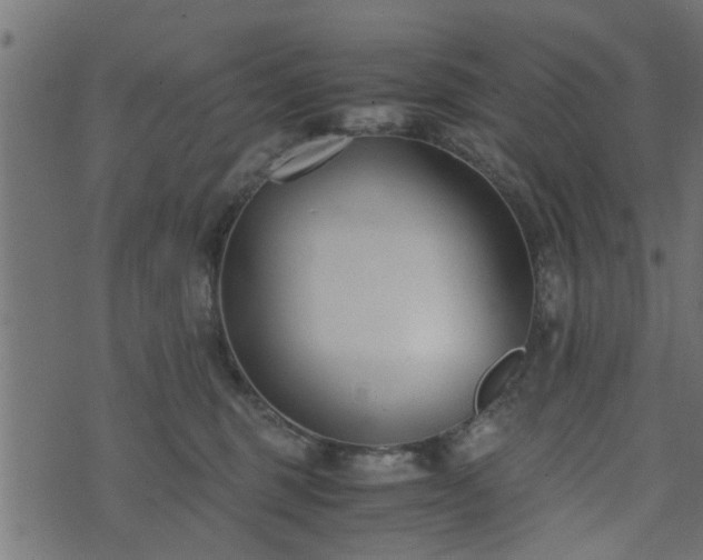 X0000073900375200608181005