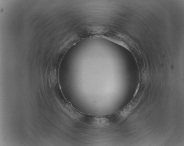 X0000073900376200608181005