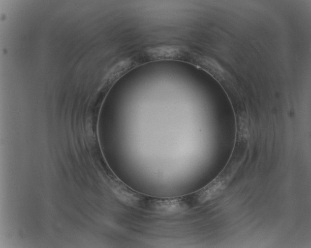 X0000073900377200608181005