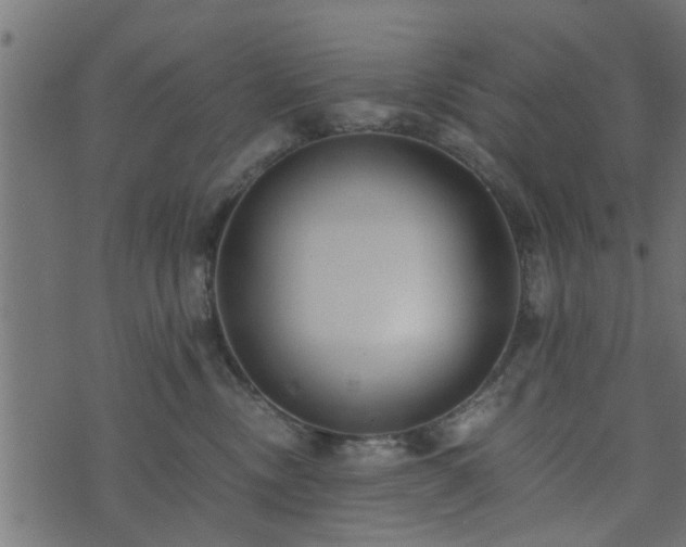 X0000073900378200608181005