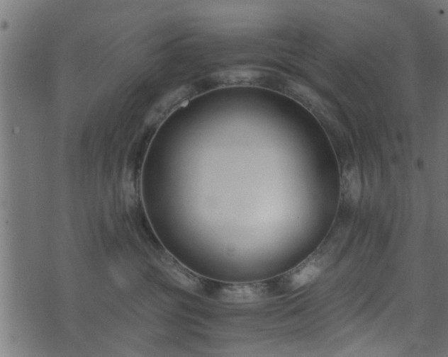 X0000073900381200608181005