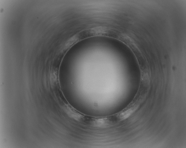 X0000073900382200608181005