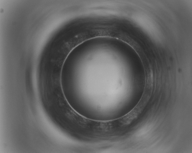 X0000073900383200608181005