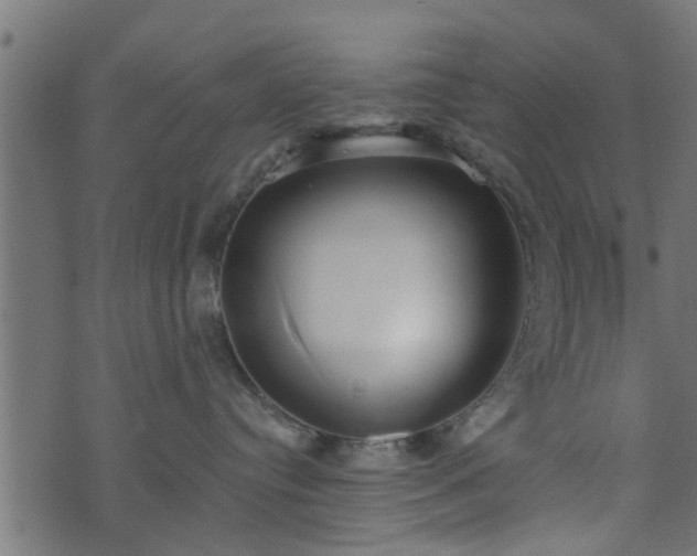 X0000073900384200608181005