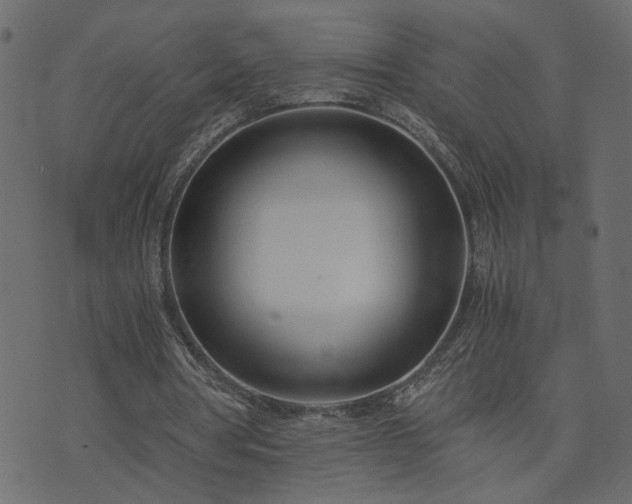 X0000073900386200608181004