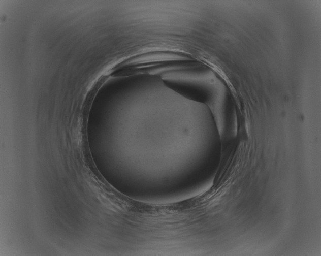 X0000073900387200608181004