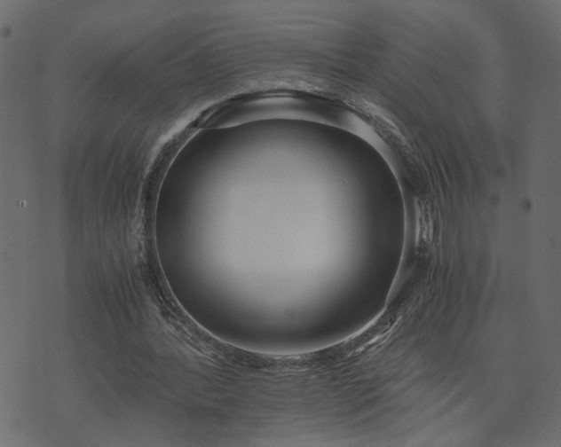 X0000073900388200608181004