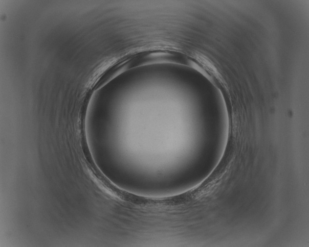 X0000073900389200608181004