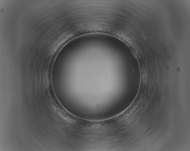 X0000073900390200608181004