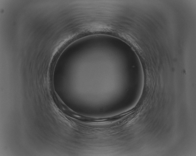 X0000073900391200608181004