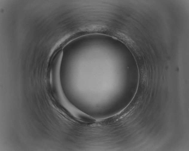 X0000073900392200608181004