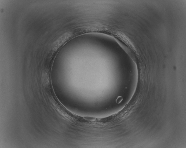 X0000073900393200608181004