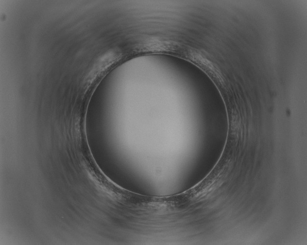 X0000073900394200608181004