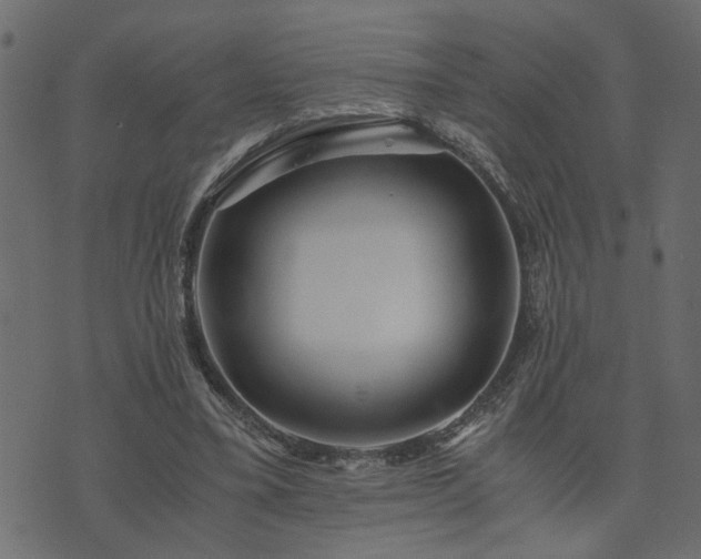 X0000073900395200608181004