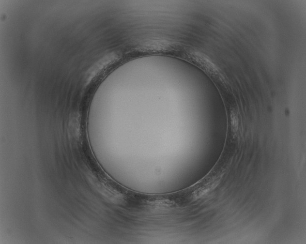 X0000073900396200608181004