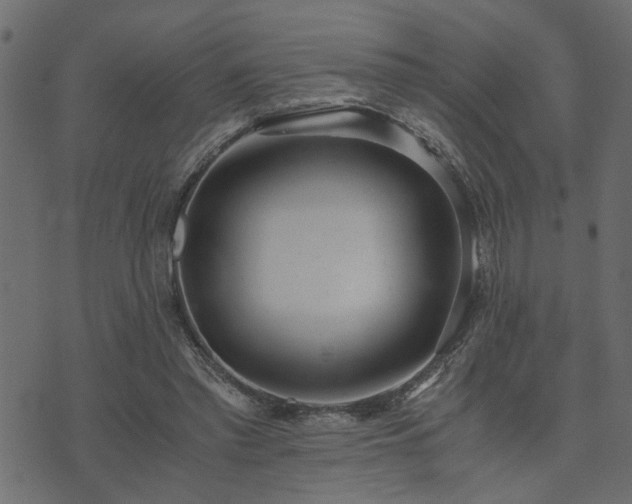 X0000073900397200608181004