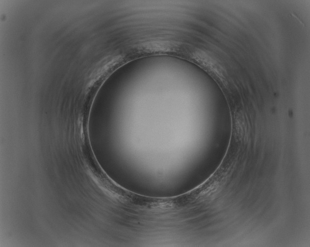 X0000073900398200608181004