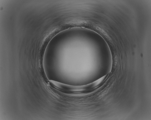 X0000073900399200608181004