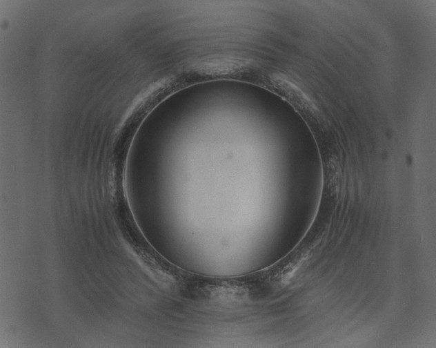 X0000073900400200608181004