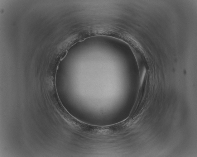 X0000073900401200608181004