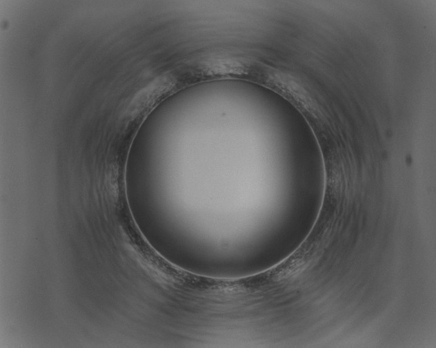 X0000073900402200608181004