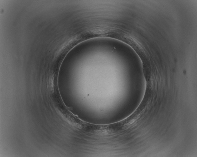 X0000073900404200608181004