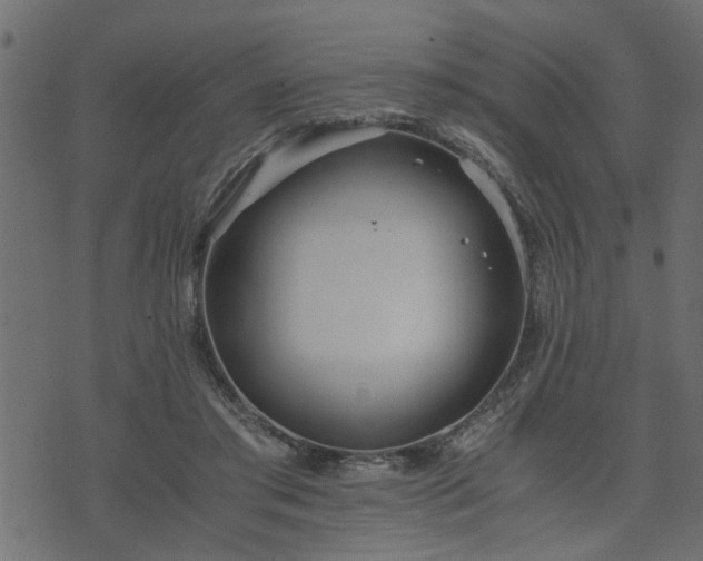 X0000073900405200608181004