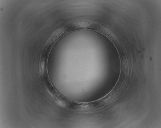 X0000073900406200608181004