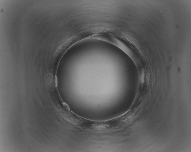 X0000073900407200608181004