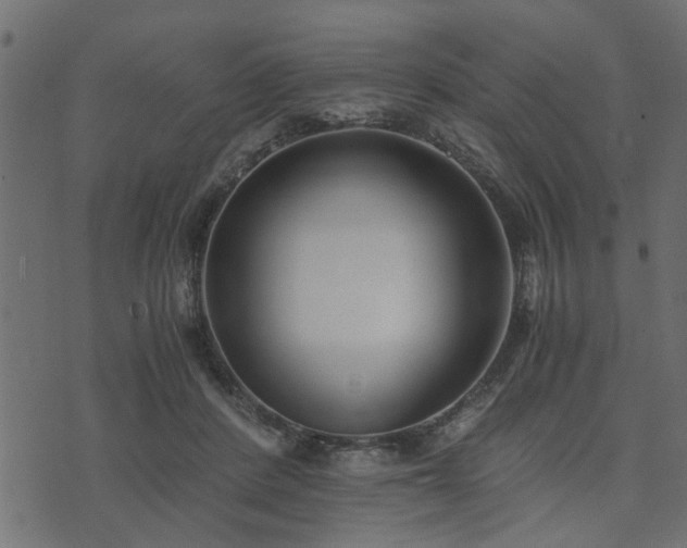 X0000073900408200608181004