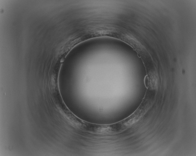 X0000073900410200608181004