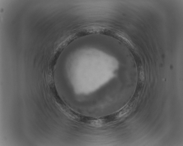 X0000073900411200608181004