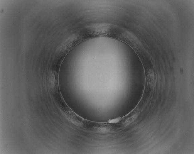 X0000073900412200608181004