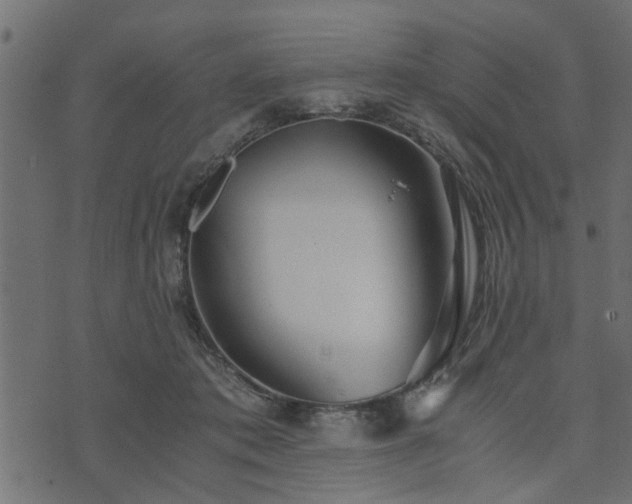 X0000073900413200608181004