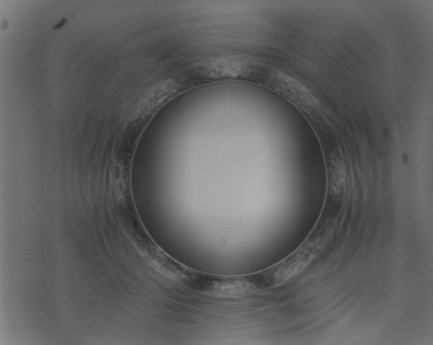 X0000073900414200608181004