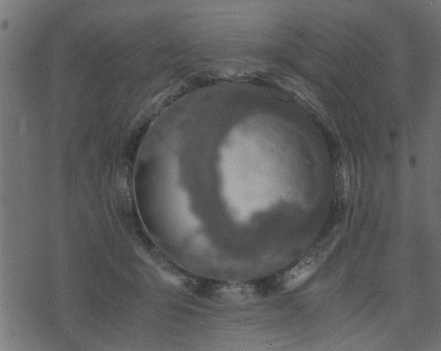 X0000073900415200608181004