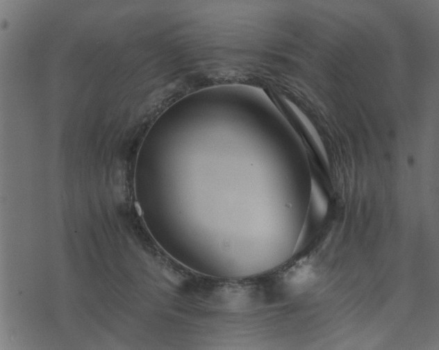 X0000073900416200608181004