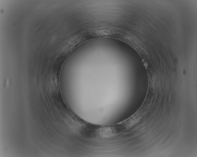 X0000073900418200608181004