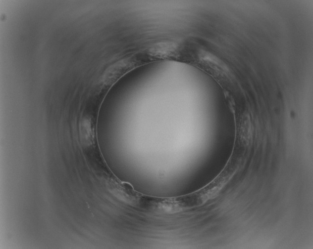 X0000073900420200608181003