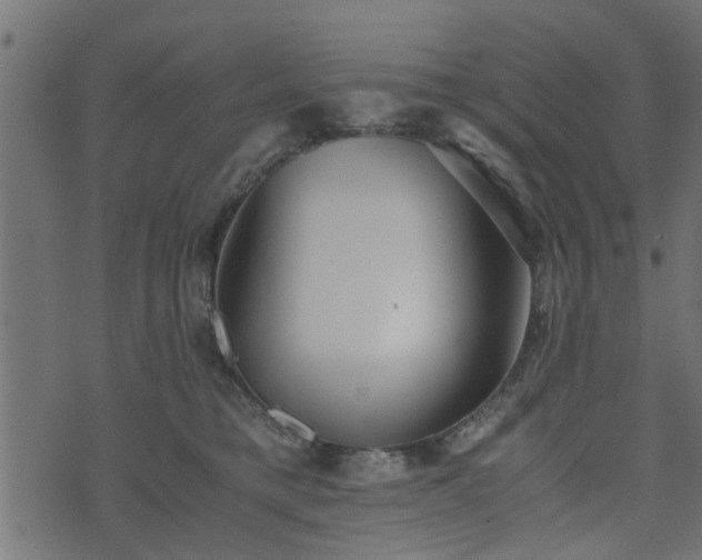 X0000073900421200608181003