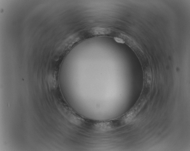 X0000073900422200608181003