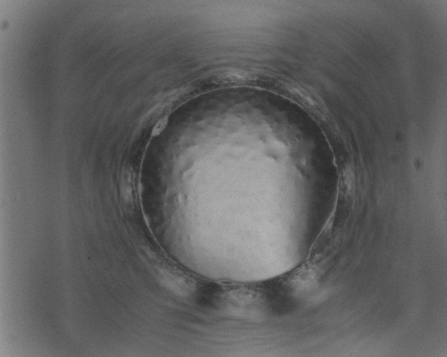 X0000073900423200608181003