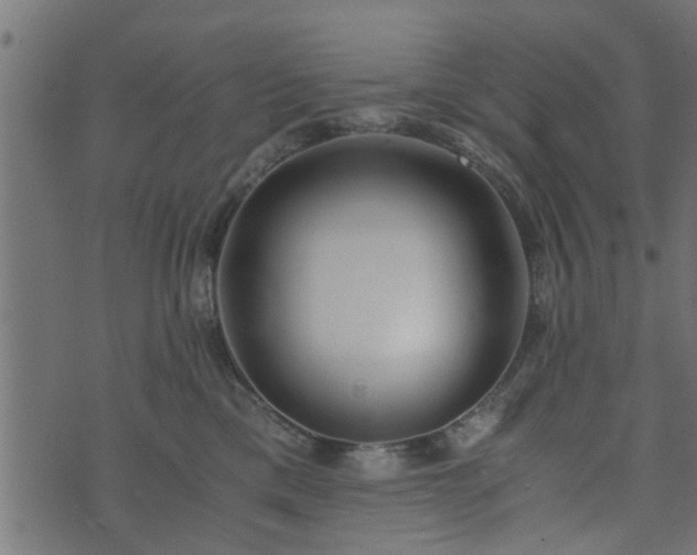 X0000073900425200608181003