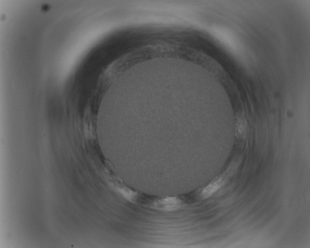 X0000073900431200608181003