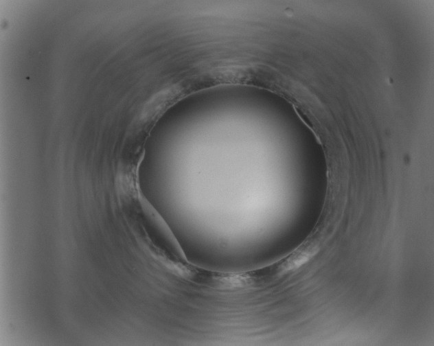 X0000073900432200608181003